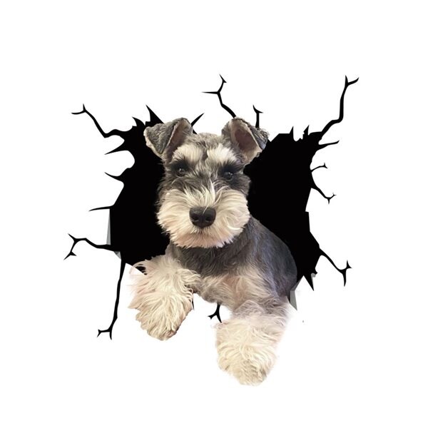 Bildekal Schnauzer