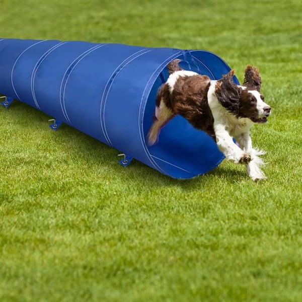 Hundtunnel for Agility 48cm x 3m