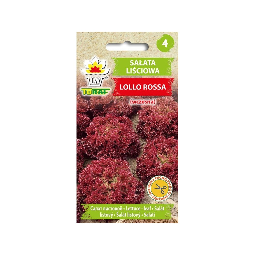 Salat Lollo Rossa